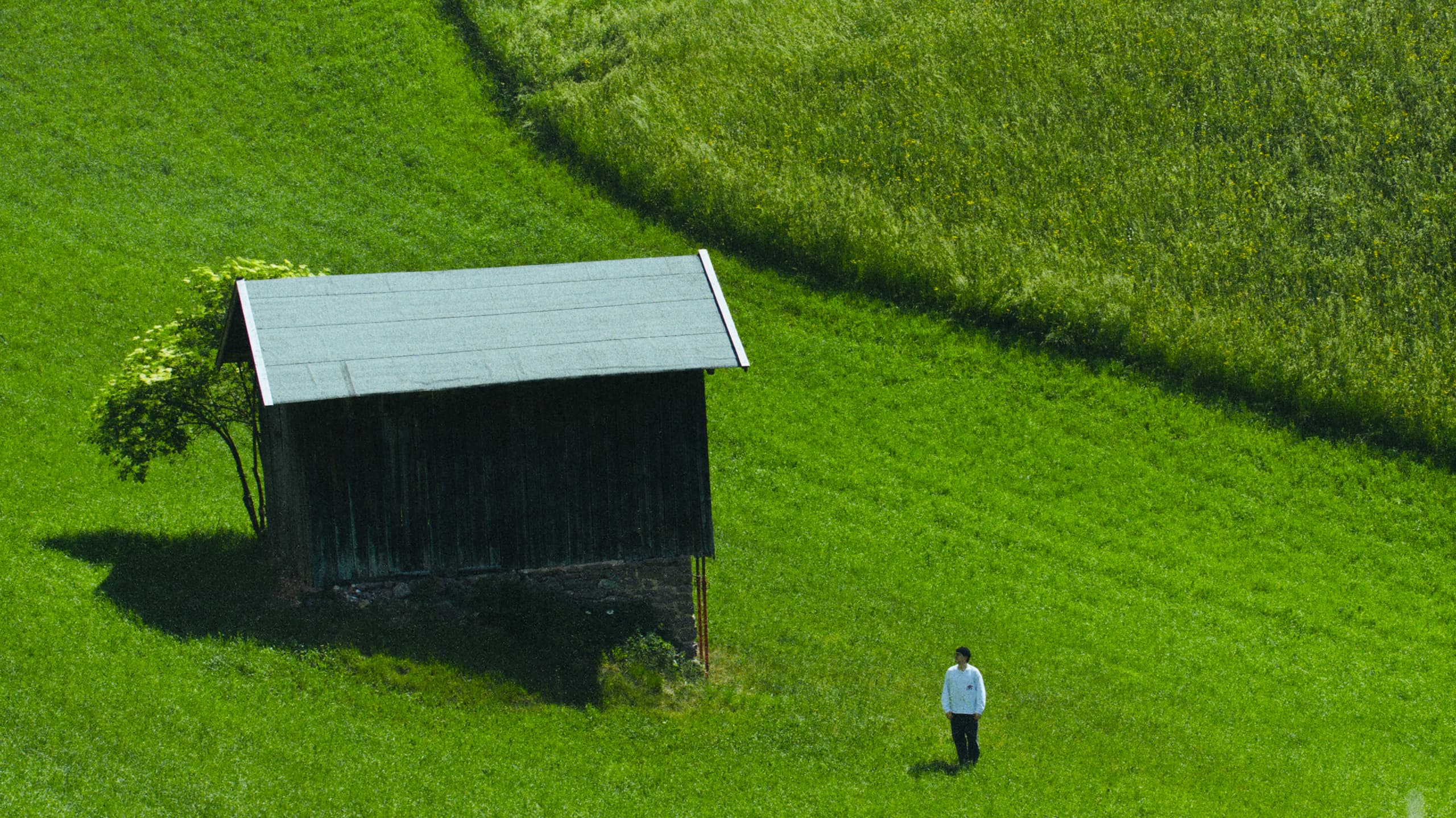 Fil Palmer beside a wooden hut in a green meadow