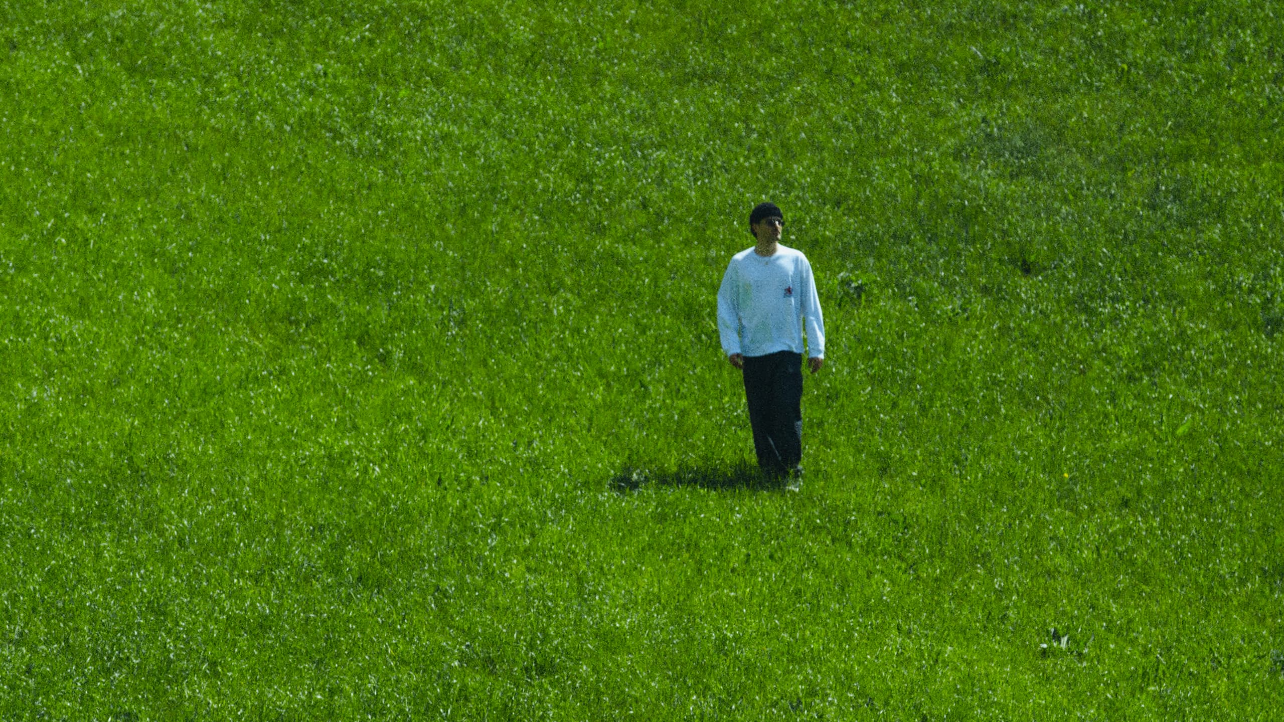 Fil Palmer standing alone in a meadow