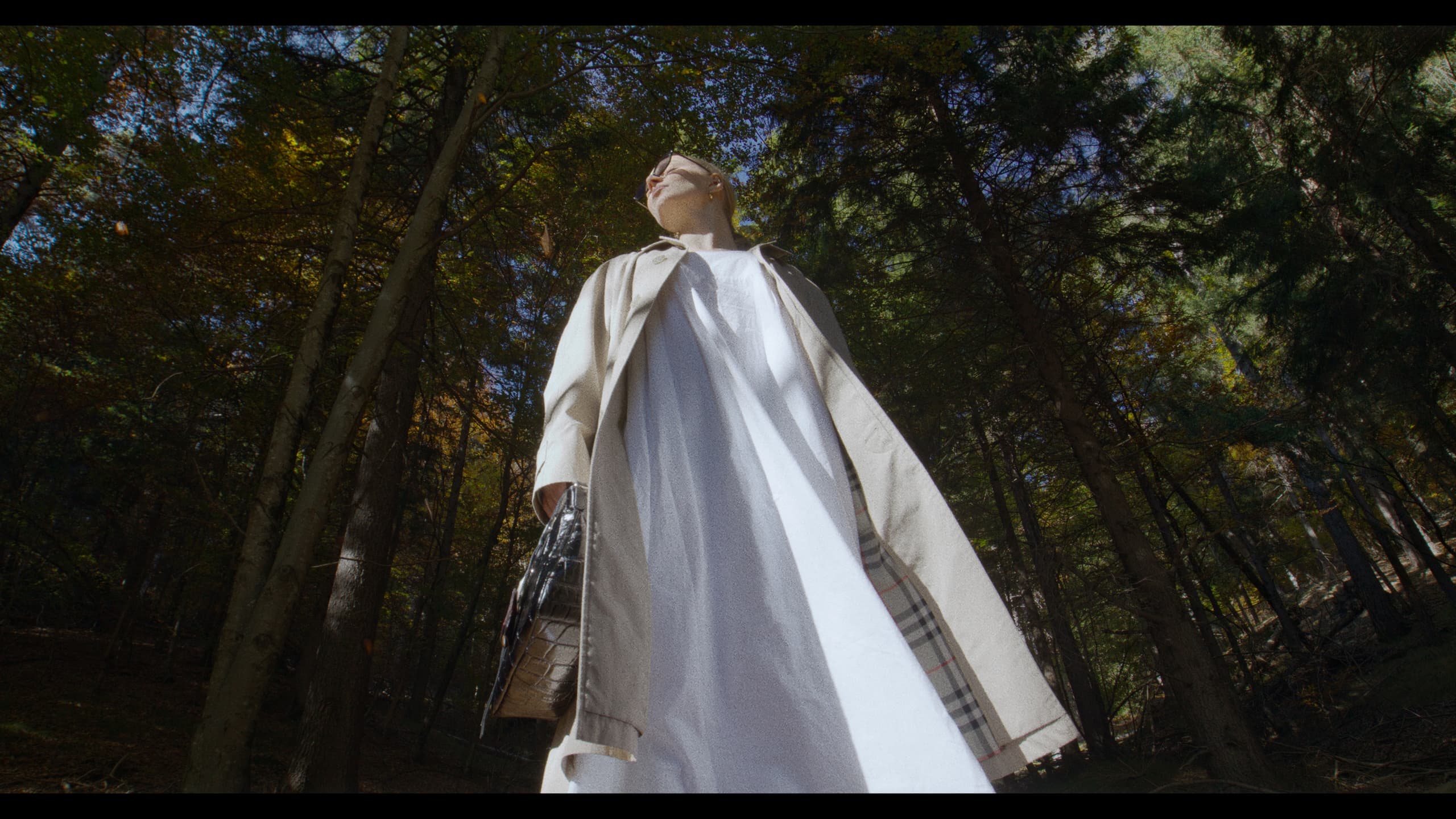 The LIV bag carried through a forest, seen from below