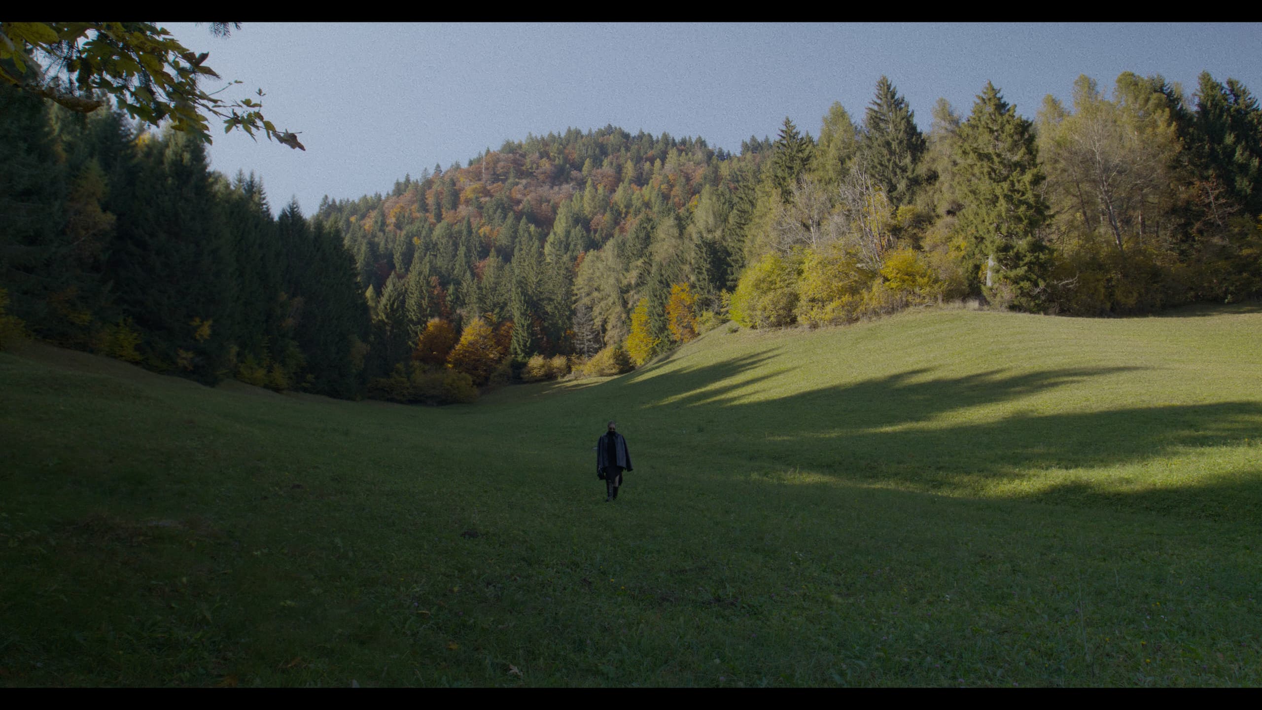 A figure crossing an alpine meadow